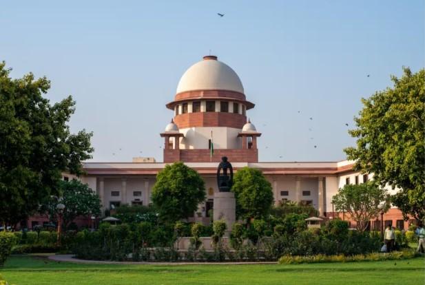 Form SITs to examine status of forest land: SC to states, UTs