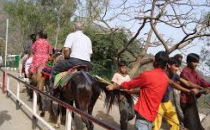 J-K: Two men posing as pony service providers caught on Vaishno Devi route