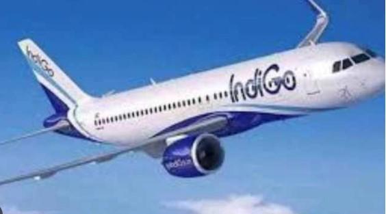I-T dept imposes Rs 944 cr penalty on IndiGo; airline to contest order