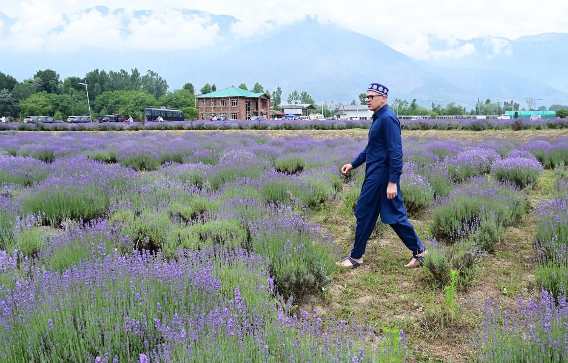 Chief Minister Omar Abdullah Inaugurates Lavender Festival at Nunar