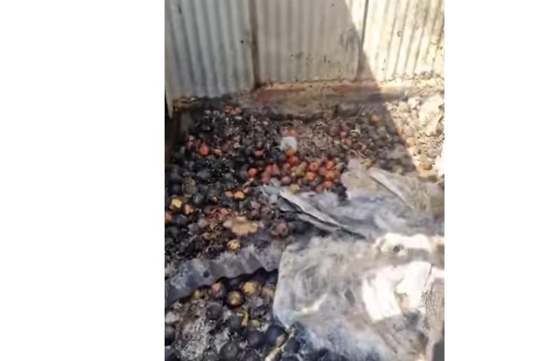 Fire Incident at Bakshi Nagar Sabzi Mandi.
