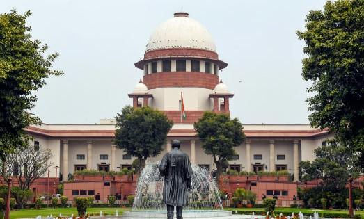 SC to constitute special bench to hear NHAI plea against stray cattle shelter order