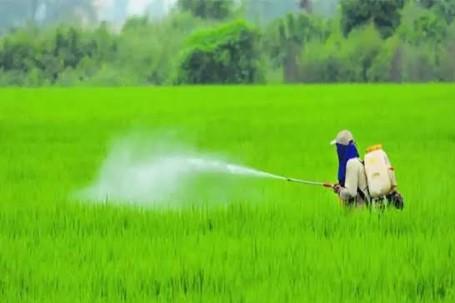 J&K Assembly: Crop Insurance Schemes Cover 12.89 Lakh Farmers, ₹221.71 Crore Claims Disbursed