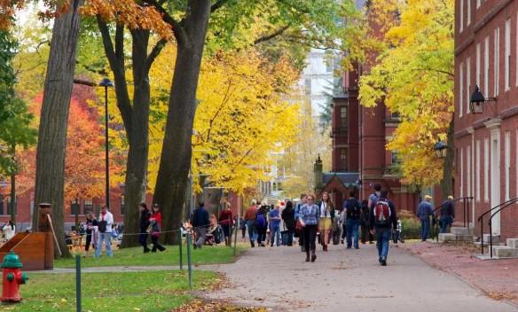 15% decline in Indian students seeking admission to undergraduate courses in U.S.: Report