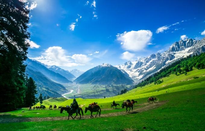 48 of 87 Kashmir tourist destinations shut down after Pahalgam terror attack