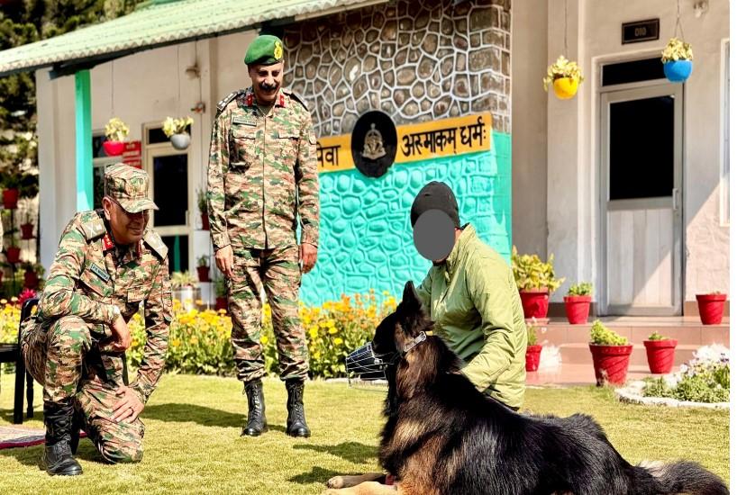Bullet-wounded canine soldier ‘Tyson’ recovering well: Indian Army