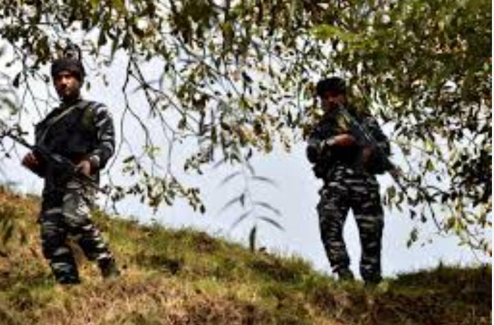 CRPF to raise special CoBRA battalion for counter-terrorist operations in J K DG