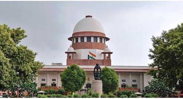 SC refuses to recall order on stray dogs sterilisation, cites right to live with dignity