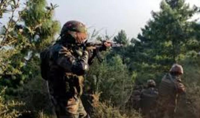Overground worker of terrorist killed by forces in encounter in J&K's Bandipora