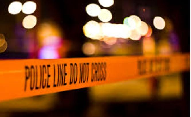 Elderly lawyer shoots himself dead in J&K's Kishtwar