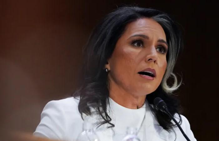 Tulsi Gabbard supports India after Pahalgam attack: 'We are with you as you hunt down terrorists'