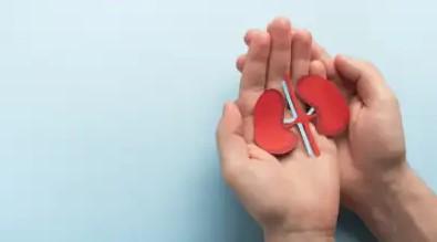 Want to keep your kidneys healthy? Adopt these 6 daily habits immediately