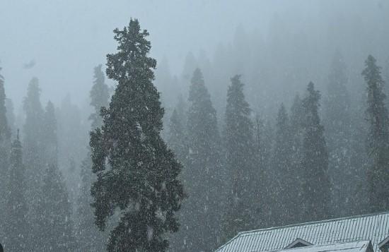 Light Rain, Snow Likely in Parts of J&K; MET Predicts drop in temperature from Nov 5: MeT