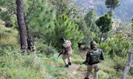 Search operation widened to track down terrorists hiding in forest belt in J&K's Udhampur