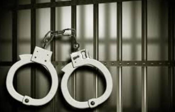 Interstate Narcotics Network Busted in South Kashmir; Woman Peddler Among Three Arrested