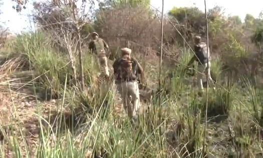 J&K: Security forces intensify search operation in Kathua-Samba sector