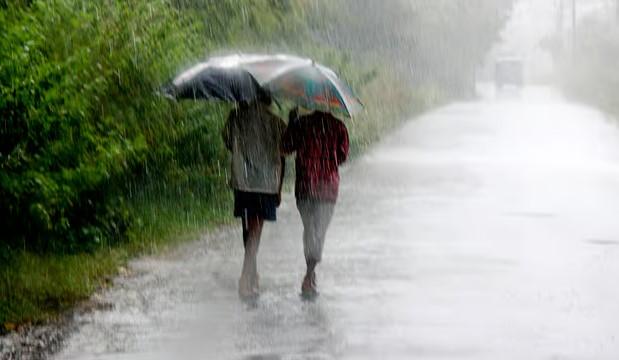 Above-normal rain likely in India in second half of monsoon: IMD