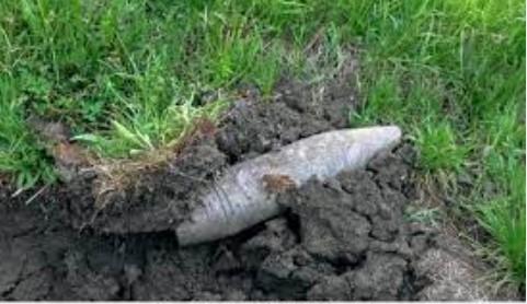 Rusted mortar shell found near LoC in J&K’s Poonch