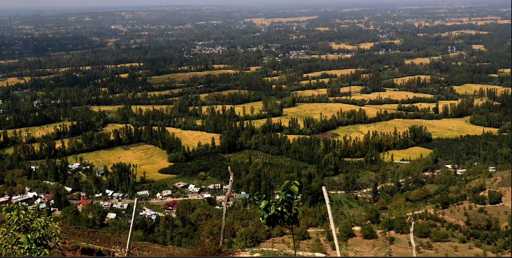 2 Persons From Outside J&K Have Bought Property Since 370 Move: Centre
