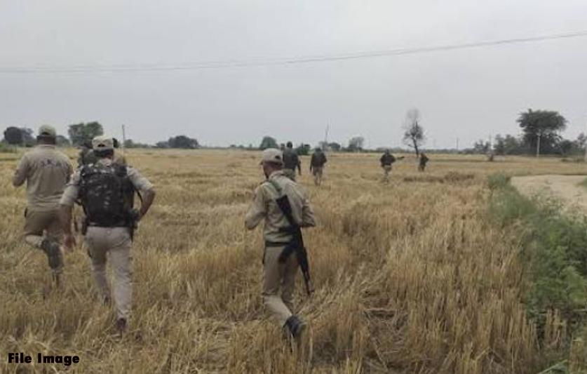 Search operation launched in Kathua after villagers report suspicious movement