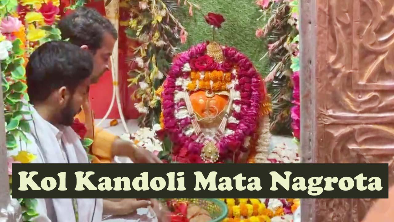 Darshan Live : कोल कंडोली माता नगरोटा