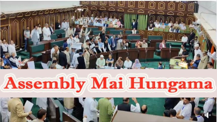 विधानसभा शुरू होते ही हंगामा #JKAssembly