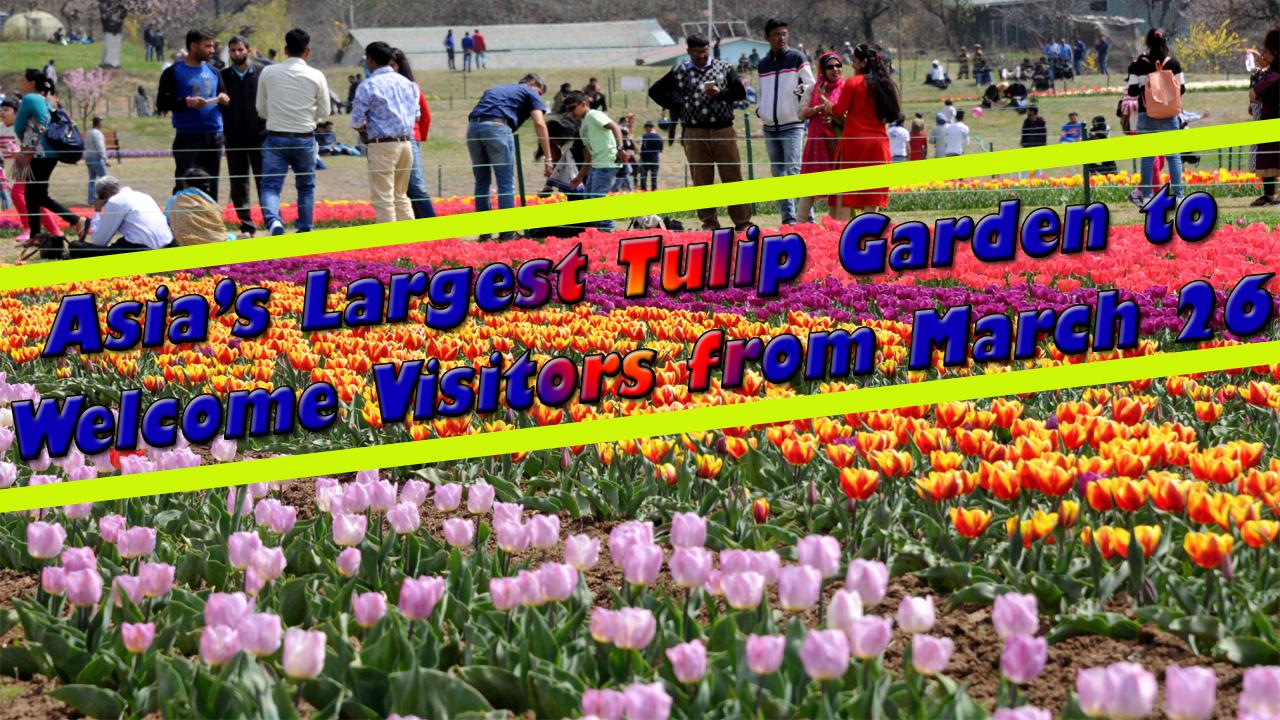Asia’s largest tulip garden in Srinagar to open for public on Mar 26