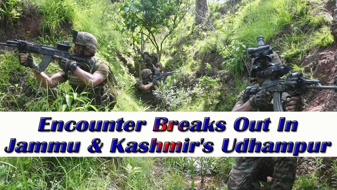 Encounter Breaks Out In Jammu & Kashmir's Udhampur