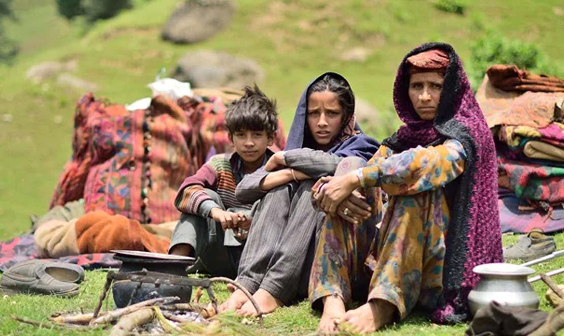 About 87 per cent tribal welfare funds unutilised in FY 2025-26 in J&K: Officials