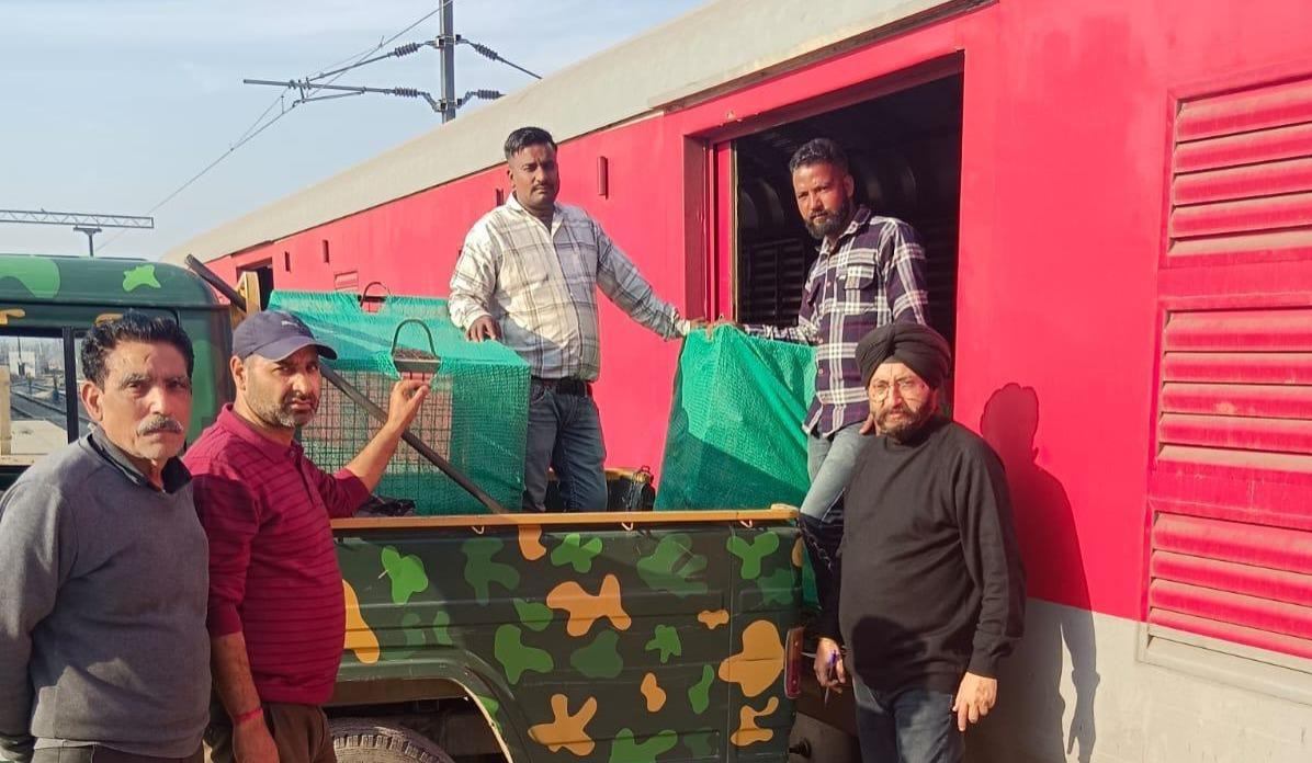 Two leopard cats, black bears dispatched for Chennai from Jammu by train