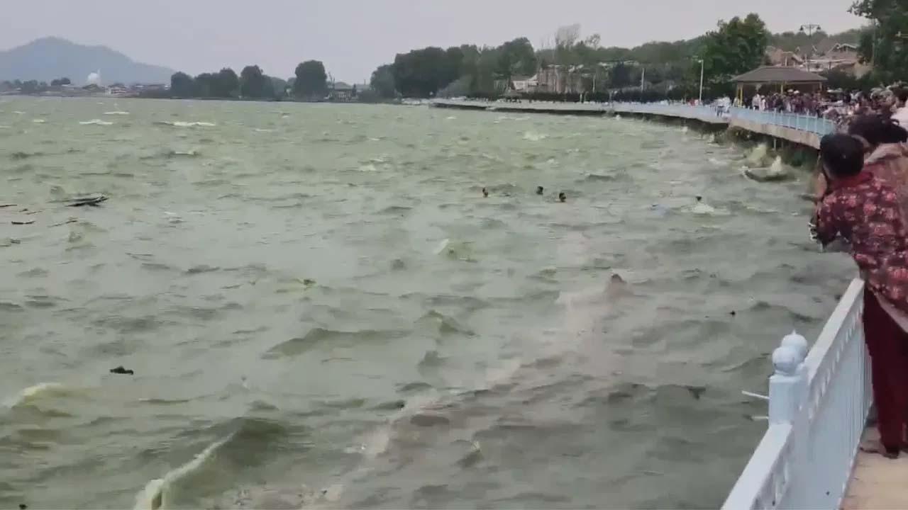 Boat capsizes in Dal Lake, one rescued, another missing, search on