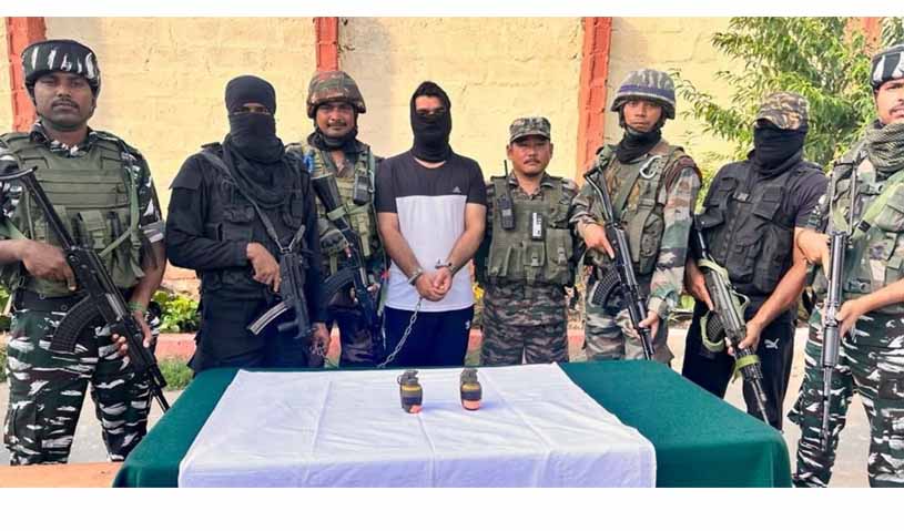 LeT OGW arrested with two grenades in Bandipora: Police